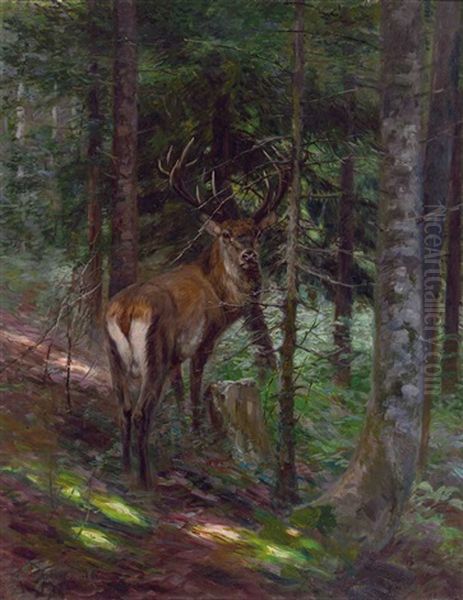 Prachtvoller Vierzehnender Sichert Am Waldrand Oil Painting by Carl von Dombrowski