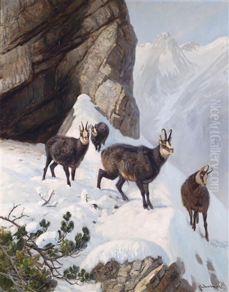 Gemsen Im Hochgebirge Oil Painting by Carl von Dombrowski