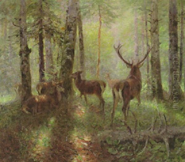Hirsch Mit Rudel Auf Einer Waldlichtung Oil Painting by Carl von Dombrowski