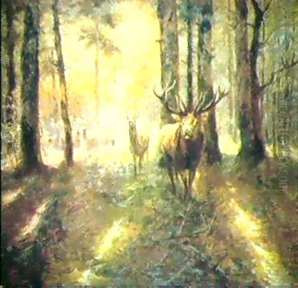 Hirschrudel In Einer Waldlichtung Oil Painting by Carl von Dombrowski