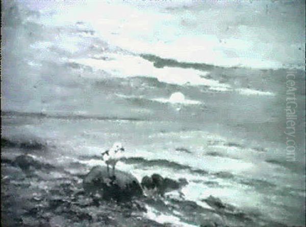 Sonnenuntergang Mit Mowe Auf Der K... Oil Painting by Louis, Carl Ludwig Douzette