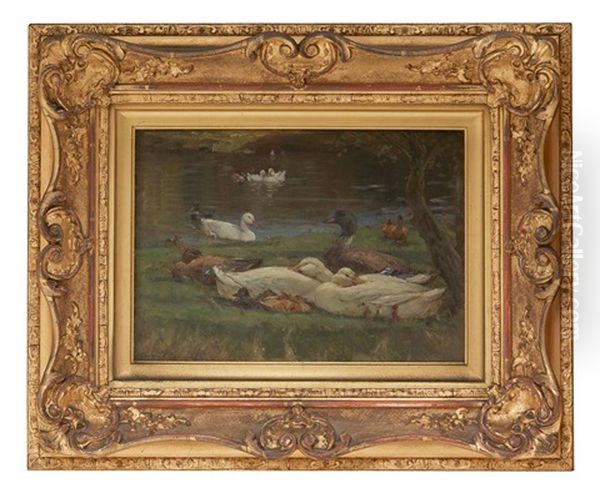 Ducks Rising Oil Painting by Patrick Downie