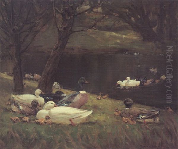 Ducks Oil Painting by Patrick Downie