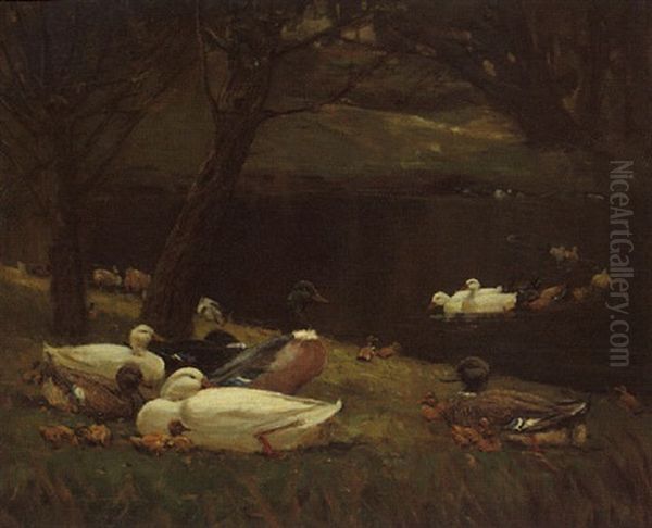 Ducks Oil Painting by Patrick Downie
