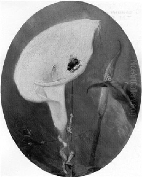 The Bumble-bee Hunt Oil Painting by Richard Doyle