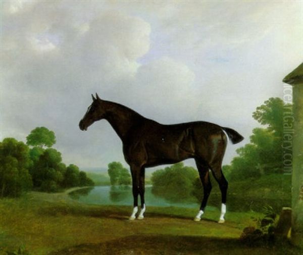 A Black Racehorse With White Stockings Standing In A River Landscape Oil Painting by John (H.B.) Doyle