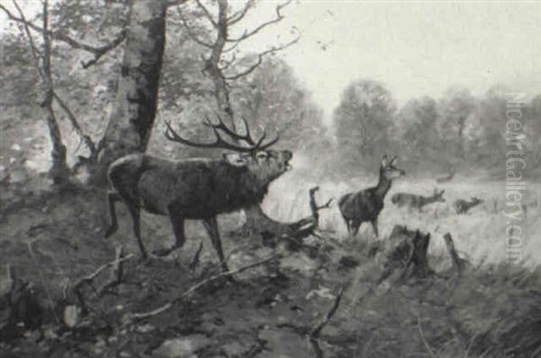 Elk And Deer In A Forest Landscape Oil Painting by Christoffer Johann Drathmann