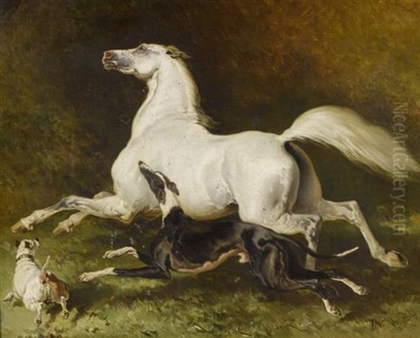 Schimmel Im Galopp Mit Zwei Hunden Oil Painting by Alfred De Dreux