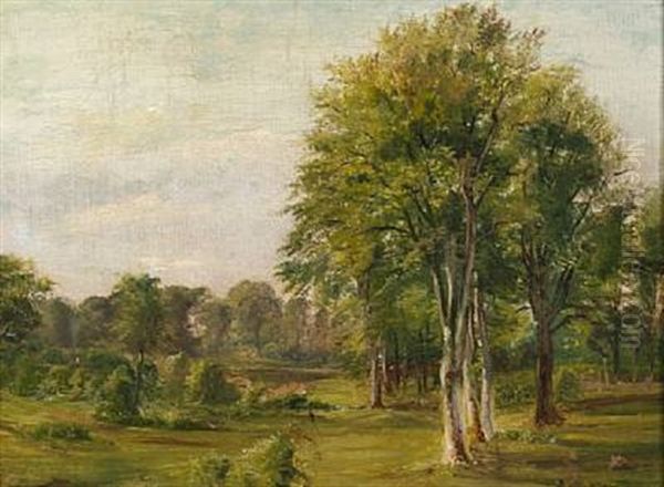 In The Woods. Fra Ordrup Dyrehave Oil Painting by Dankvart Dreyer