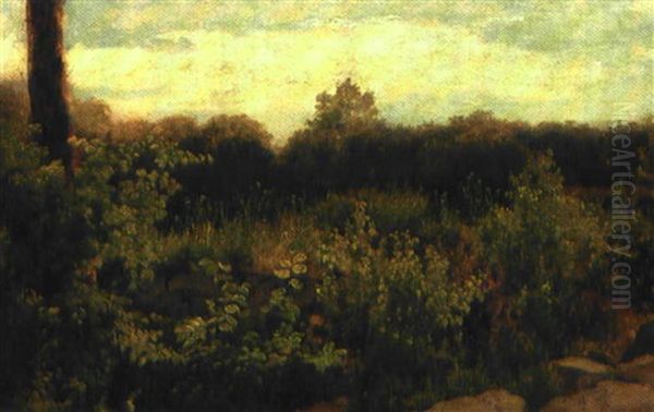 Buske Og Planter Ved Et Stengaerde I Udkanten Af En Skov Oil Painting by Dankvart Dreyer