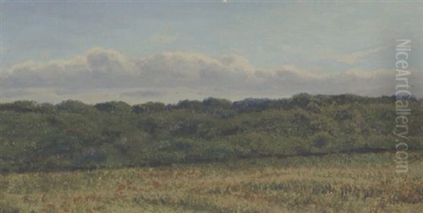 Landskab Med Mark Og Skovbryn Oil Painting by Dankvart Dreyer