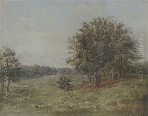 Parti Fra Dyrehaven Oil Painting by Dankvart Dreyer