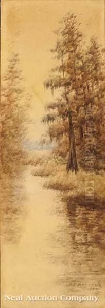 Cypress Trees, Louisiana Bayou Oil Painting by Alexander John Drysdale