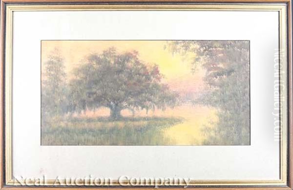 Live Oak At Rosy Dawn Oil Painting by Alexander John Drysdale