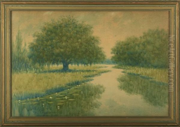 Oak And Cypress Trees Along The Louisiana Bayou Oil Painting by Alexander John Drysdale