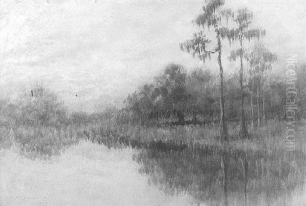 Bayou Scene With Cypress Trees Oil Painting by Alexander John Drysdale
