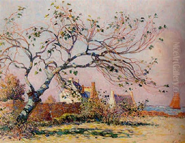 Le Vieux Figuier A Penerf Oil Painting by Ferdinand du Puigaudeau