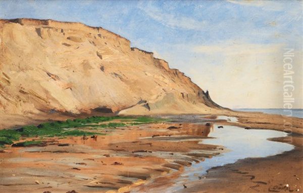 Steep Coast Oil Painting by Eugen Gustav Duecker