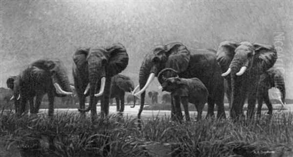 Elephants At The Watering Hole Oil Painting by Arthur Radclyffe Dugmore