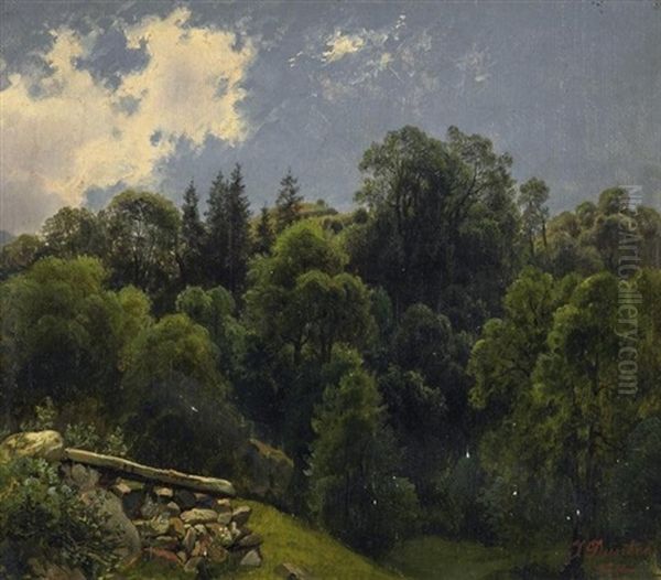 Sommertag. Blick In Einen Mischwald Oil Painting by Johannes Bartolomaus Duntze