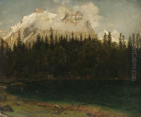 Im Hochgebirge Oil Painting by Johannes Bartolomaus Duntze