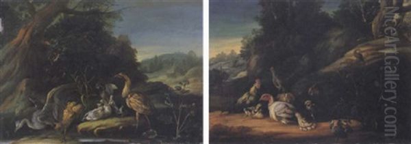 Uccelli In Un Paesaggio Oil Painting by Giorgio (Count) Durante