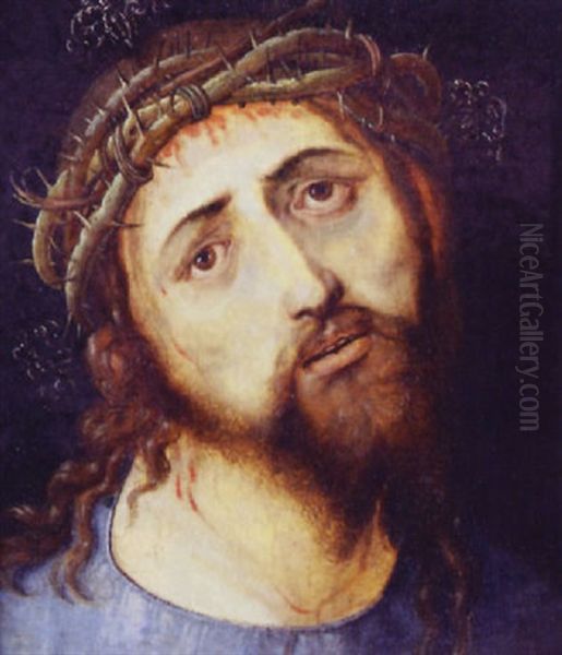 Kopf Des Schmerzensmannes Oil Painting by Albrecht Durer