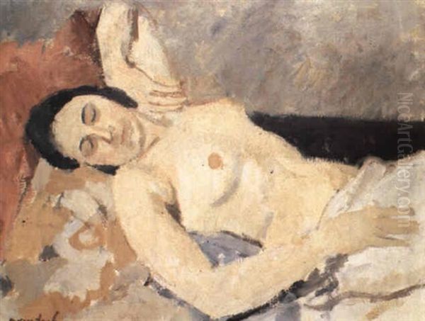 Liggend Naakt Oil Painting by Albert Van Dyck