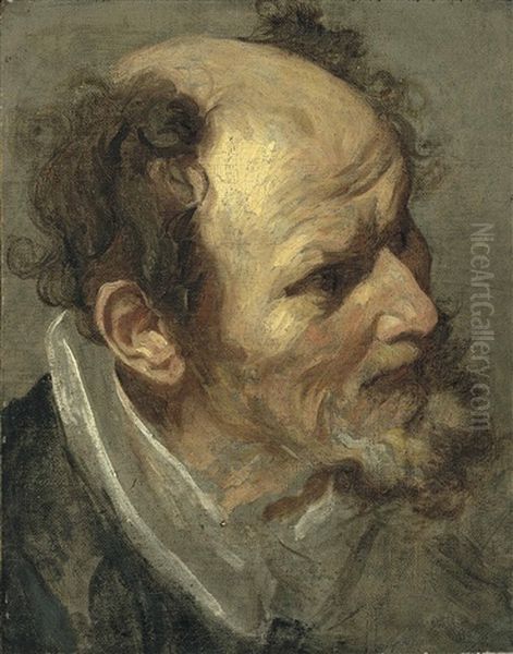 Head Of A Bearded Man Oil Painting by Sir Anthony Van Dyck