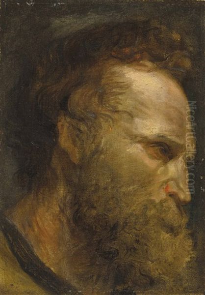 Head Study Of A Bearded Man Oil Painting by Sir Anthony Van Dyck