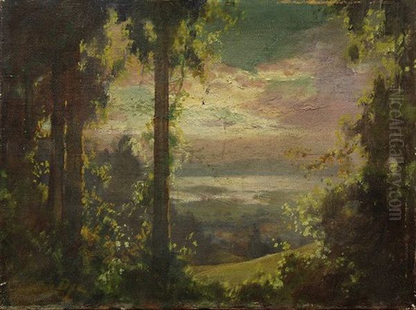 Sunrise Through The Redwoods Oil Painting by Clarkson Dye