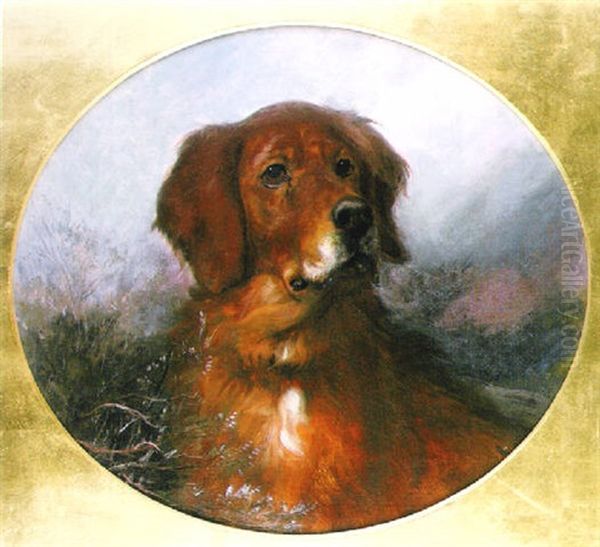 A Red Setter Oil Painting by George Earl