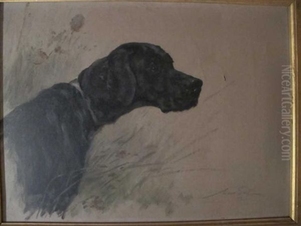 Tete De Retriever Oil Painting by Maud Earl