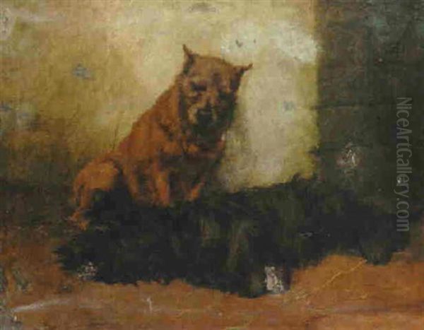 Terriers In A Barn Oil Painting by Maud Earl