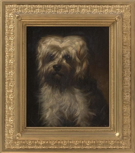 Portrait Of A White Dog Oil Painting by Lawrence Carmichael Earle