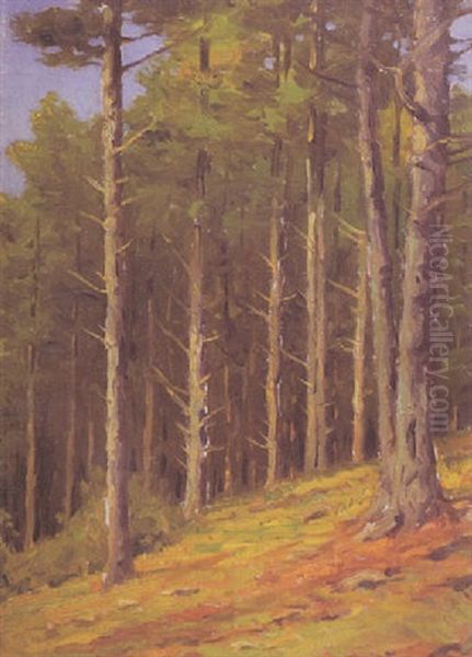 Standing Pines Oil Painting by Charles Warren Eaton