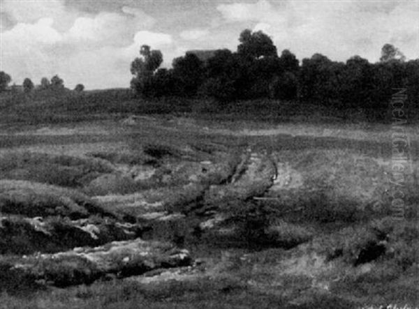 Bayrische Wiesenlandschaft Oil Painting by Robert Eberle