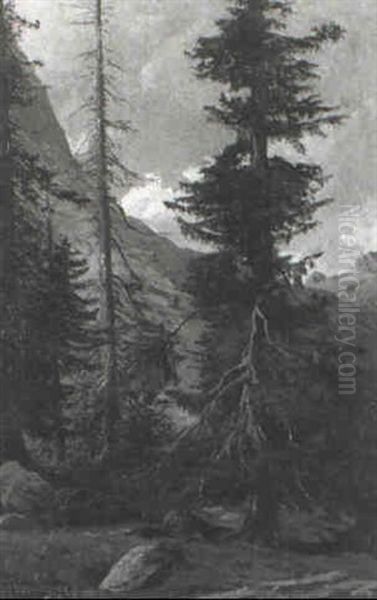 Tannen Auf Der Handeck Im Berner Oberland Oil Painting by Karl Paul Themistocles von Eckenbrecher