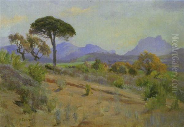 Motiv Fran Valescure, Nara St. Raphael Oil Painting by Albert Edelfelt