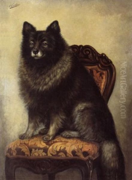 Zittende Keeshond Oil Painting by Otto Eerelman