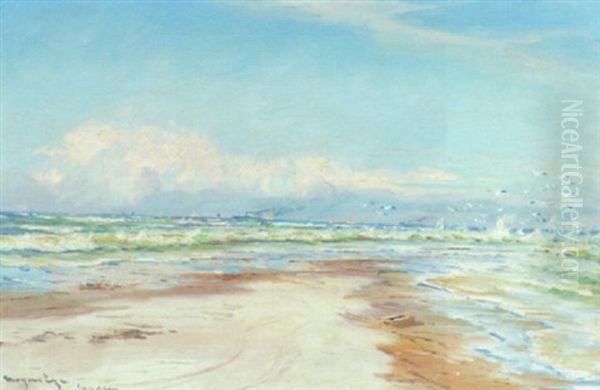 Marine Fra Grenen Med Skibe Pa Havet Oil Painting by Mogens Ege