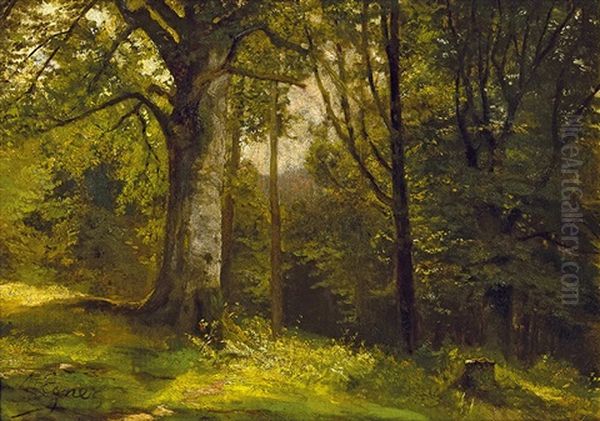 Forest Scene With Leaf Trees Oil Painting by Marie Egner