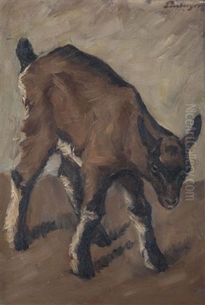 Das Storrische Kalb Oil Painting by Andreas Einberger