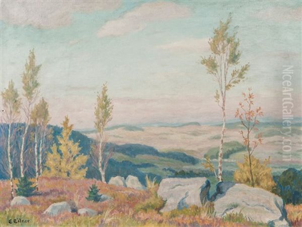 Birch Trees In A Low Mountain Landscape Oil Painting by Ernst (Wilhelm Heinrich E. ) Eitner