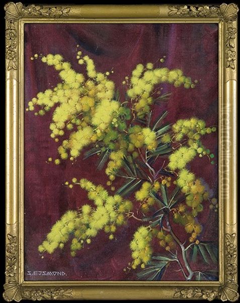 Mimosa Twig Oil Painting by Stanislaw Ejsmond