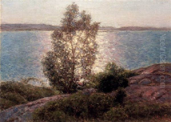 Solglitter Bakom Bjorken - Kustbild Oil Painting by Per Ekstroem