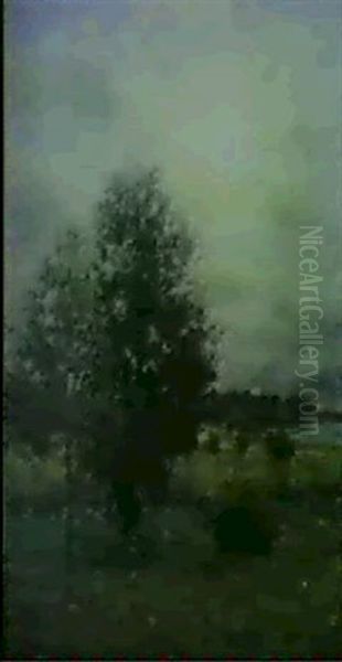 Trad I Motljus, Landskapsbild Fran Djursholm Oil Painting by Per Ekstroem