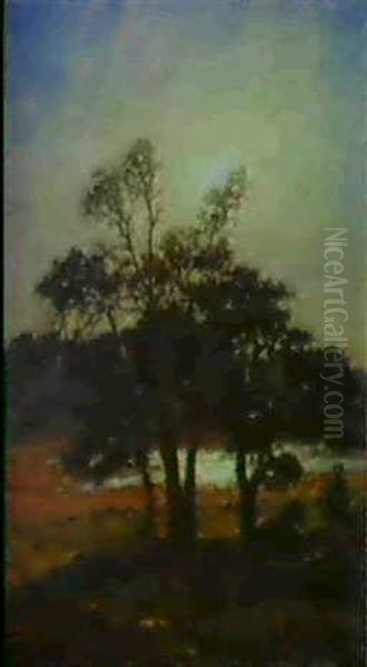 Morgonsol, Tallar I Motljus Oil Painting by Per Ekstroem