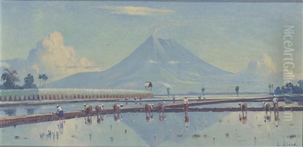 Rice Fields Oil Painting by Leo Eland