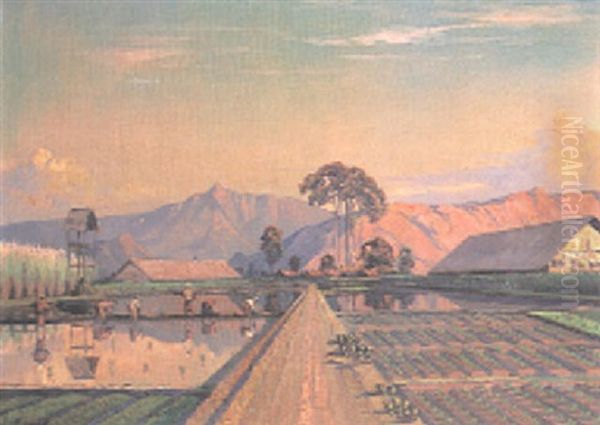 Paddy Fields, Indonesia Oil Painting by Leo Eland